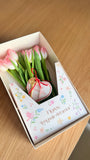 Tulip Box